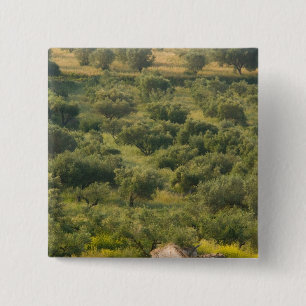 GRIEKENLAND, Ionische Eilanden, KEFALONIA, Havriat Vierkante Button 5,1 Cm
