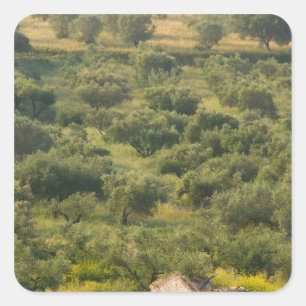GRIEKENLAND, Ionische Eilanden, KEFALONIA, Havriat Vierkante Sticker