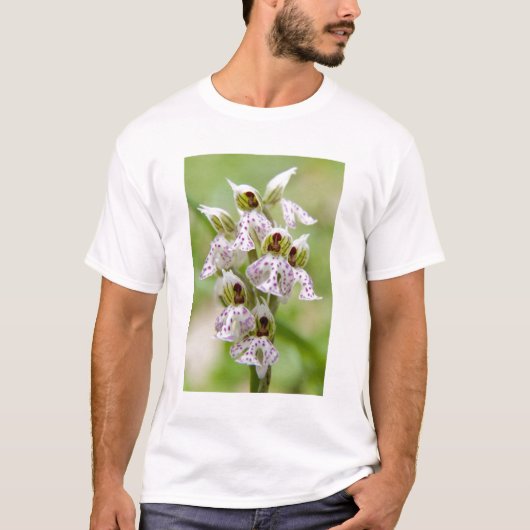 Griekenland, Kreta. Orchid in bloom Orchis T-shirt (Voorkant)