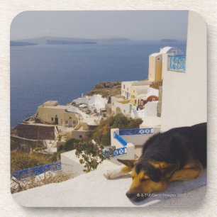 Griekenland, Santorini Island, Oia City, hond die  Drankjes Onderzetter