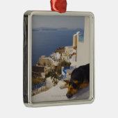Griekenland, Santorini Island, Oia City, hond die  Metalen Ornament (Rechts)