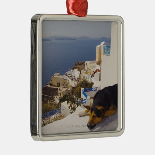 Griekenland, Santorini Island, Oia City, hond die Metalen Ornament (Rechts)