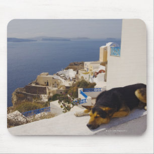 Griekenland, Santorini Island, Oia City, hond die Muismat