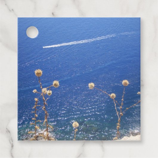 Grieks blauw Zee Bedankjes Labels (Voorkant)