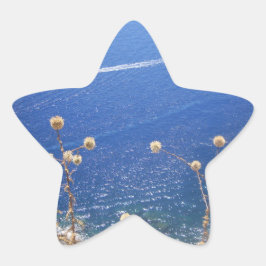 Grieks blauw Zee Ster Sticker