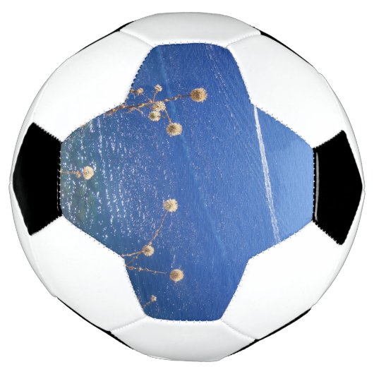 Grieks blauw Zee Voetbal (Gedraaid)