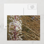 Grieks Briefkaart (Voorkant / Achterkant)