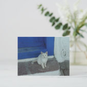 Grieks Kat Briefkaart (Staand voorkant)