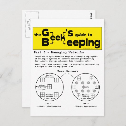 Griekse bijenteelt (netwerken) - Briefkaart (Voorkant / Achterkant)