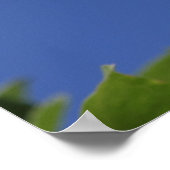 griekse formule poster (Hoek)