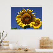 griekse formule poster (Keuken)