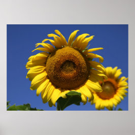 griekse formule poster