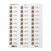 Griekse Hoplite Etiket (Full Sheet)