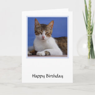 Griekse Kaart voor kat Birthday