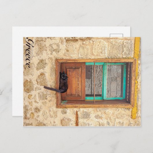 Griekse kat briefkaart (Voorkant / Achterkant)