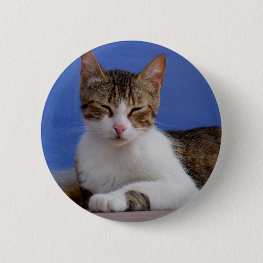 Griekse kat-Button Ronde Button 5,7 Cm (Voorkant)