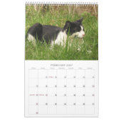 Griekse katten kalender (Feb 2027)