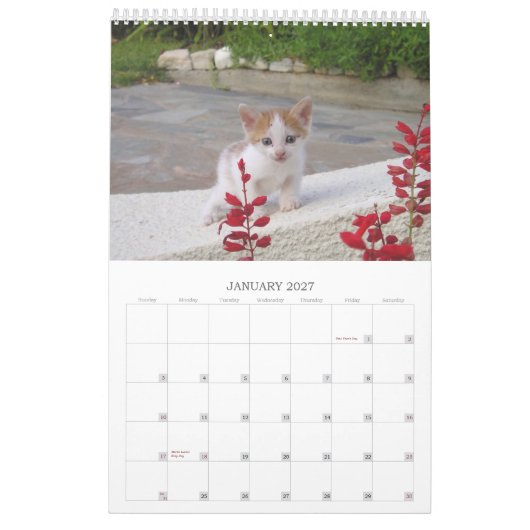 Griekse katten kalender (Jan 2027)