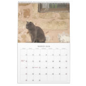 Griekse katten kalender (Mar 2026)