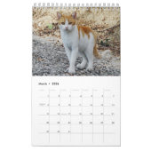 Griekse katten - snapshots van de kleine metgezell kalender (Mar 2026)