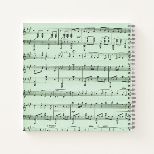 Griekse maskers voor groene muziek en bioscoop notitieboek (Achterkant)