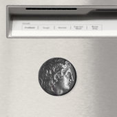 Griekse munt magneet (Insitu (Vaatwasser))