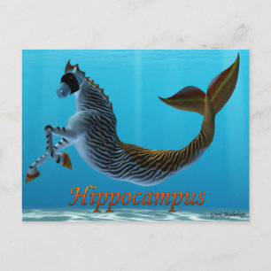 Griekse mythologische Briefkaarten: Hippocampus Briefkaart