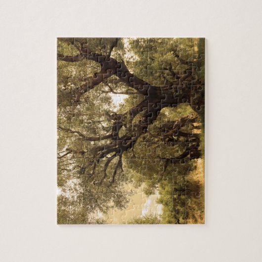Griekse olijfgaard legpuzzel (Verticaal)