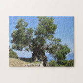 Griekse olijventeelt (Kefalonia) Legpuzzel (Horizontaal)