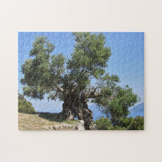 Griekse olijventeelt (Kefalonia) Legpuzzel (Horizontaal)