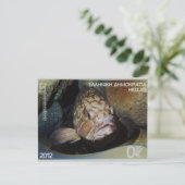 Griekse postzegel Dusky Grouper Briefkaart (Staand voorkant)