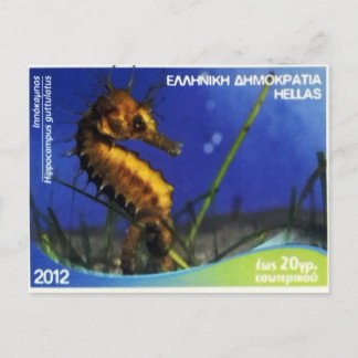 Griekse postzegel Langsnuitzeepaardje Briefkaart