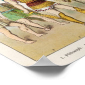 Griekse religieuze en militaire dress poster (Hoek)