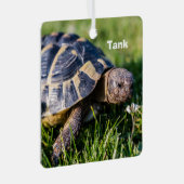 Griekse schildpad in het gras metalen ornament (Voorkant Rechts)