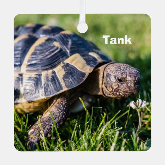 Griekse schildpad in het gras metalen ornament (Voorkant)