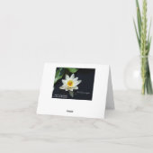 Griekse sympathiekaart met wit waterlily kaart (Achterkant)