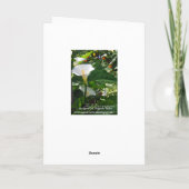 Griekse sympathiekaart met witte calla lillies kaart (Achterkant)