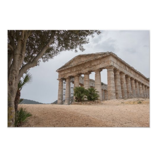 Griekse tempel in Segesta, Sicilië Foto Afdruk (Voorkant)