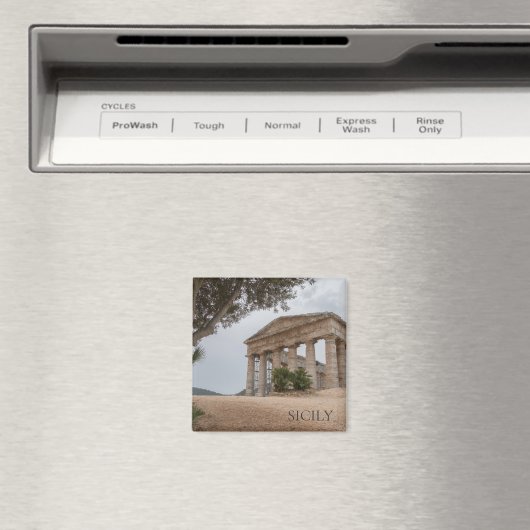 Griekse tempel in Segesta, Sicilië Magneet (Insitu (Vaatwasser))