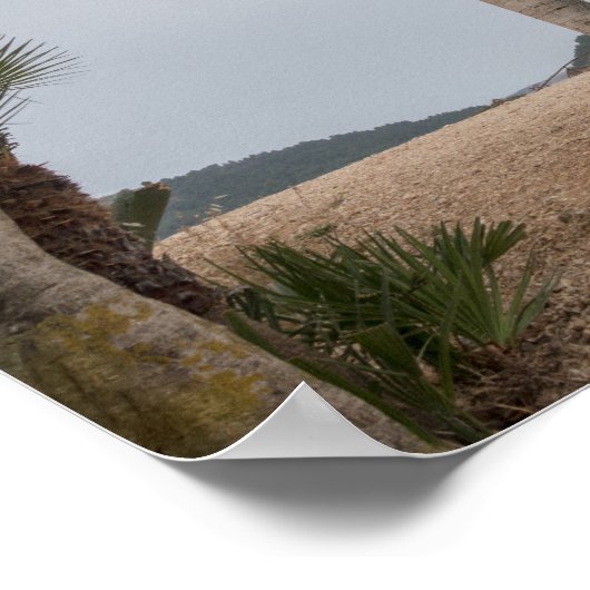 Griekse tempel in Segesta, Sicilië Poster (Hoek)