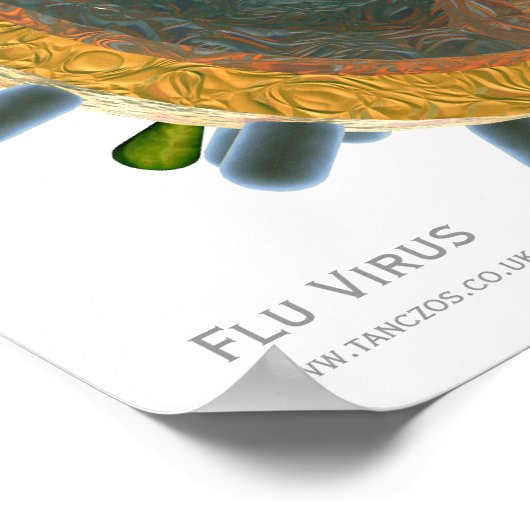 Griepvirus Poster (Hoek)