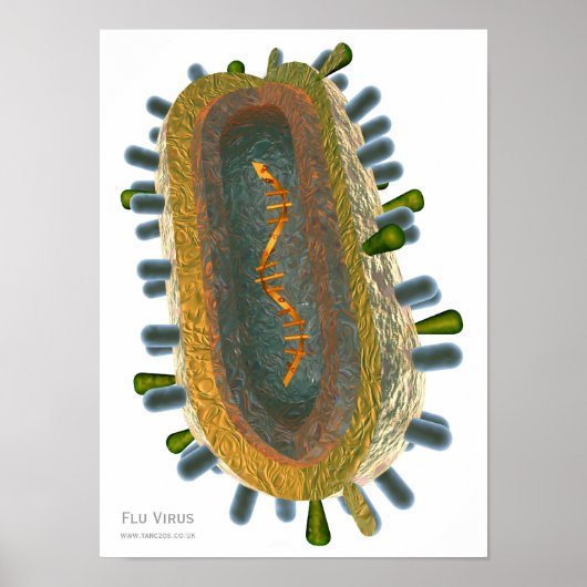 Griepvirus Poster (Voorkant)