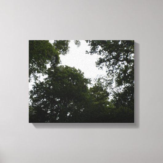 Griezelig bos canvasprint canvas afdruk (Voorkant)