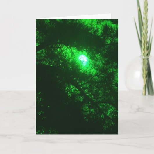 Griezelig bos  kaart (Voorkant)