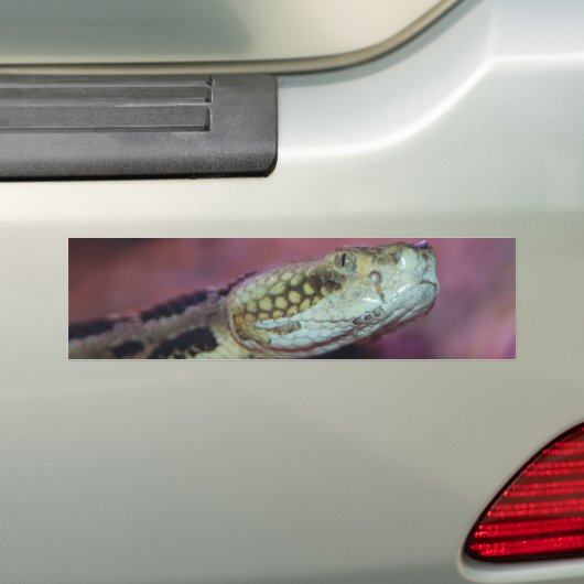 griezelig bumpersticker (Op auto)