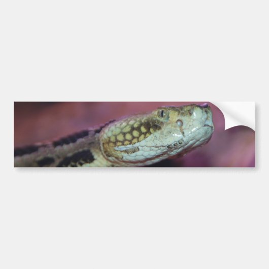 griezelig bumpersticker (Voorkant)