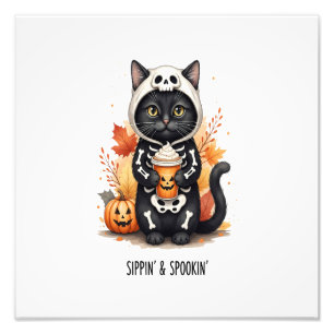 Griezelig Knuffel Kat Halloween Foto Afdruk