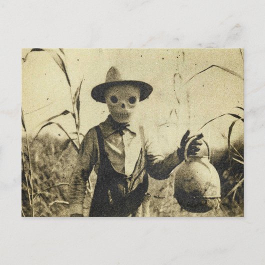 Griezelig  Skelet in maïsveld Briefkaart (Voorkant)