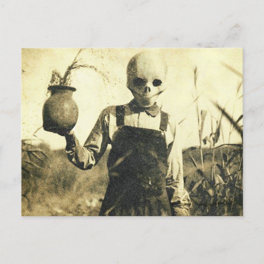 Griezelig  Skelet in maïsveld Briefkaart (Voorkant)