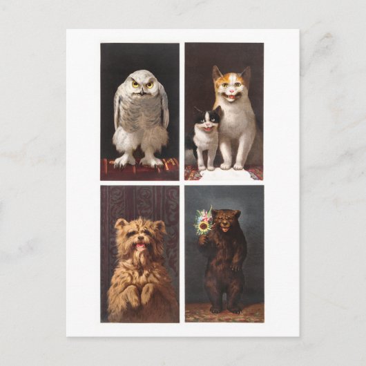 Griezelig Victoriaans Dieren  Briefkaart (Voorkant)